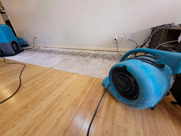 Professional Flood Damage Cleanup technician working in Shrewsbury, NJ